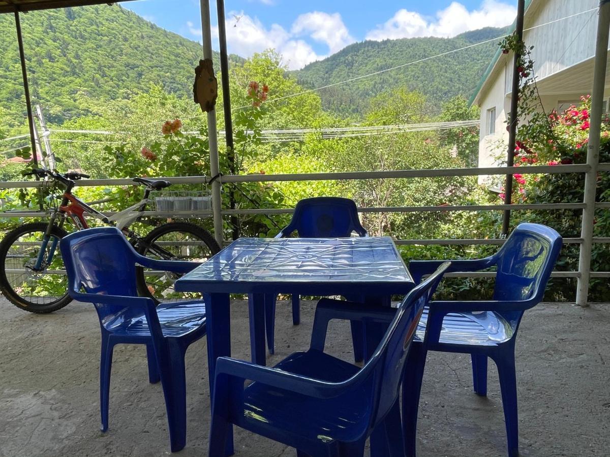 Koticha Βίλα Borjomi Εξωτερικό φωτογραφία