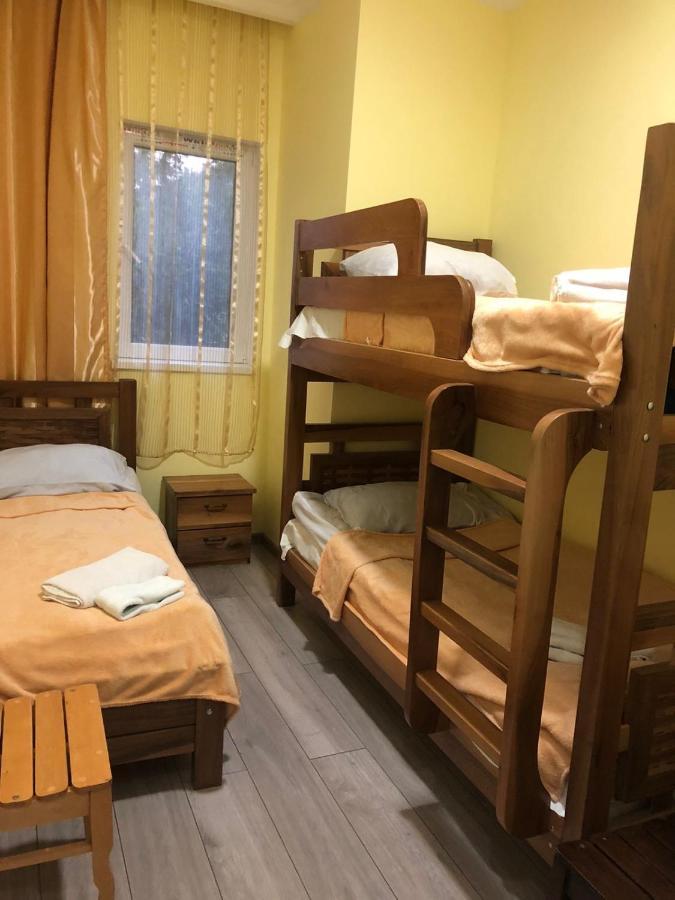 Koticha Βίλα Borjomi Εξωτερικό φωτογραφία